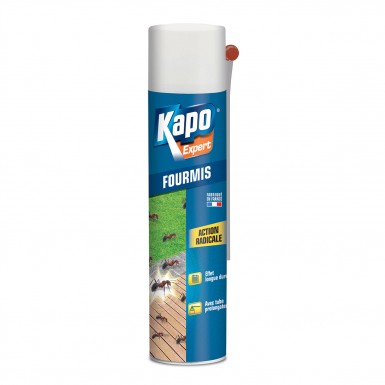 vente aérosol spécial fourmis Kapo