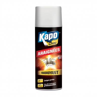 aérosol spécial araignées Kapo
