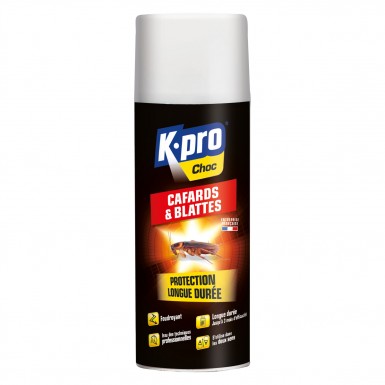 Aérosol foudroyant cafards, blattes KAPO
