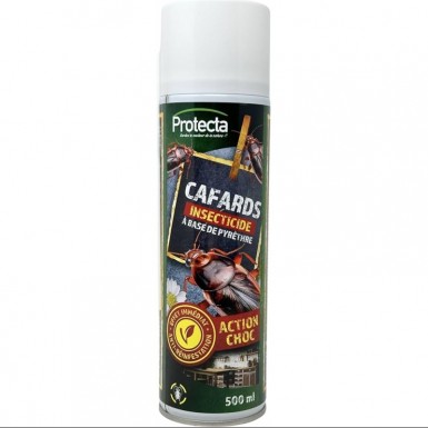 Aérosol foudroyant cafards, blattes protecta